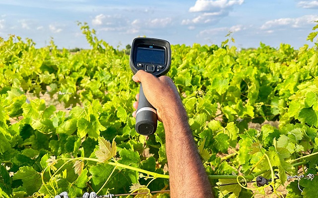 Excesso De Calor Nas Plantas Exige Cuidados Al M Da Irriga O Revista