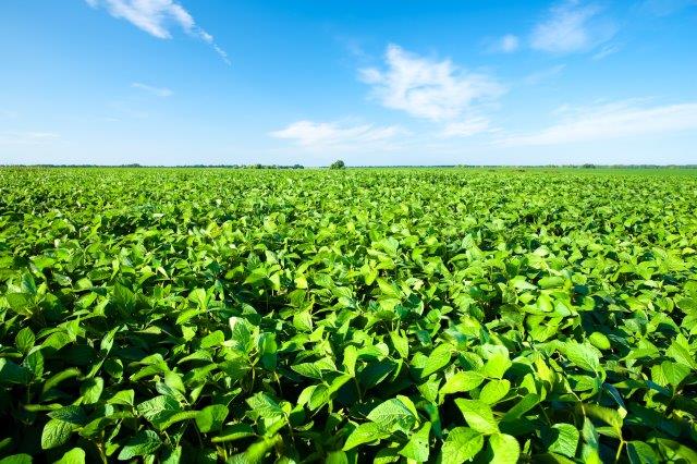 Produtividade total dos fatores na agricultura brasileira: evolução1985-2017