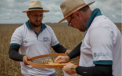 Rally da Safra atualiza dados de produção de soja
