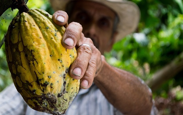 Legislação na Europa pode aumentar a fome mundial