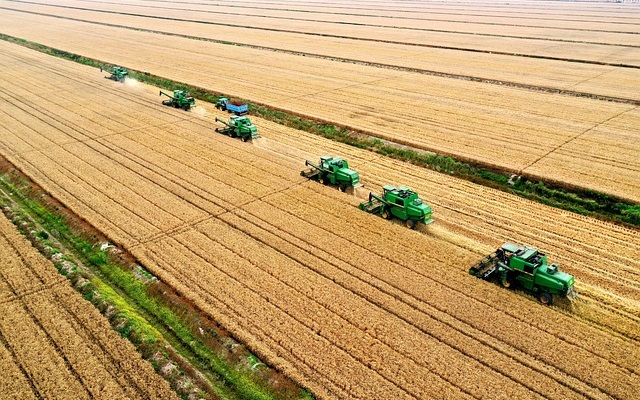 Agro Paulista tem superávit no primeiro semestre de 2024