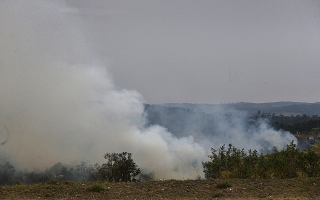 Cresce o número de animais mortos em incêndios no interior de SP