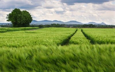 Começa o mapeamento do agro paulista