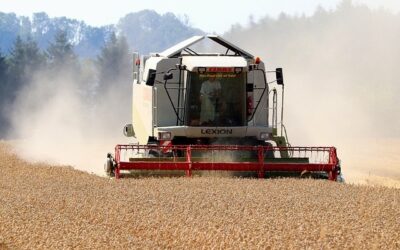 São Paulo mantém liderança nacional em exportações agrícolas