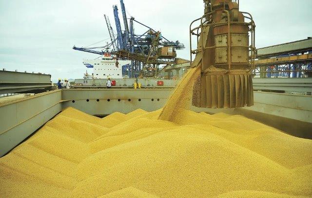Brasil: Tarifaço mantem nossa competitividade