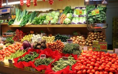 Balanço 2025 do agronegócio brasileiro e perspectivas para 2026