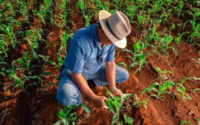 Sistema Campo Limpo bate recorde de embalagens vazias destinadas corretamente