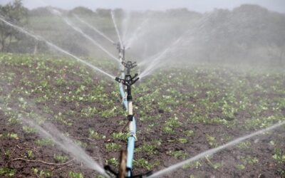 Governo de SP investe R$ 56 milhões em irrigação sustentável