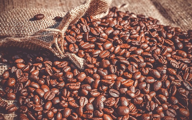 Exportação de café do Brasil recua em fev/2026, aponta Cecafé