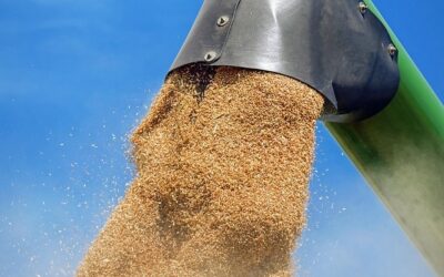 Projeto aumenta em 15% produtividade na exportação de grãos