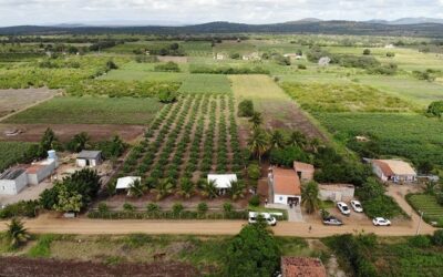 Embrapa lança nova etapa do projeto Lagos do São Francisco