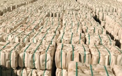 Sistema Campo Limpo bate recorde de destinação e reduz custo