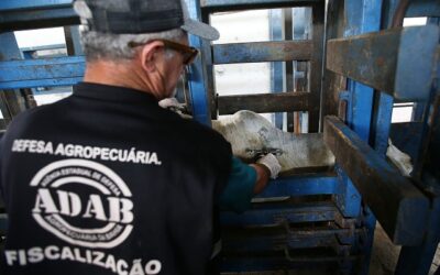 Corte adicional no orçamento das agências reguladoras preocupa o agro