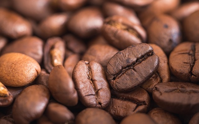 Exportação de café do Brasil chega a 3,1 mi de sacas em maio