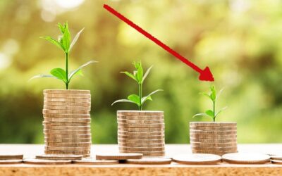 Concessões de crédito rural e agroindustrial recuam em 2025, aponta Serasa Experian