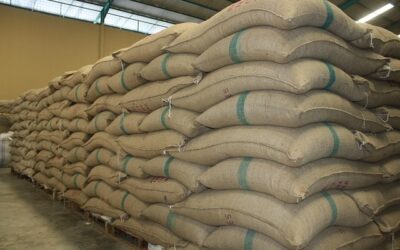 Brasil e Honduras negociam acordo de cooperação agrícola
