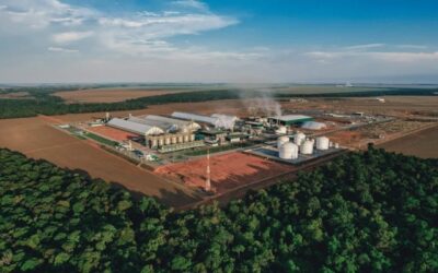 FS Bioenergia receberá investimento de R$ 500 mi do BNDES