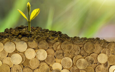 Financiamento privado do agro cresce 13% em maio