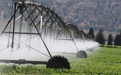 Brasil pode se tornar o maior mercado mundial de irrigação