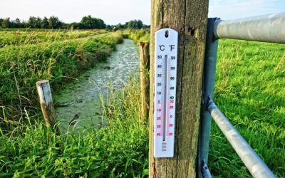 El Niño severo traz alerta para o agro