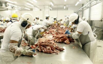 China eleva tarifa sobre carne australiana e traz alerta a produtores brasileiros