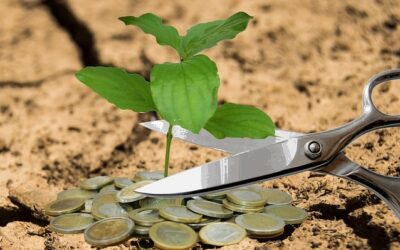 Cresce a inadimplência no agro, aponta Serasa Experian