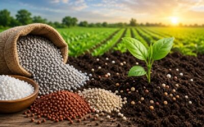 GIROAgro vê oportunidade para a indústria nacional no recuo na importação de matérias-primas de fertilizantes