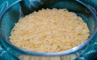 Pesquisa da Embrapa pode agregar valor ao arroz no Brasil