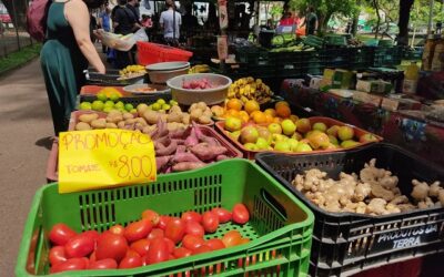 Projeto irá excluir incentivos do agro contra cortes