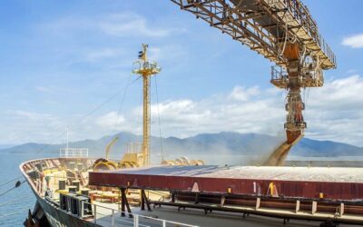 Porto de Itaqui no MA receberá farelo de soja por nova ferrovia