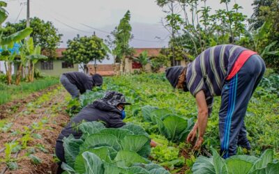 Ministério da Agricultura irá fortalecer a agricultura familiar