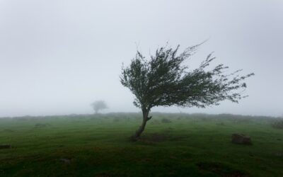 Frente fria provoca temporais e ventos de até 90 km/h no Sul e Sudeste