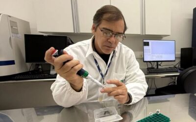 ‘Impressão digital’ criada pela Embrapa identifica carne Nelore e Angus