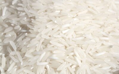 Mudanças no mercado global elevam projeções no consumo mundial de arroz