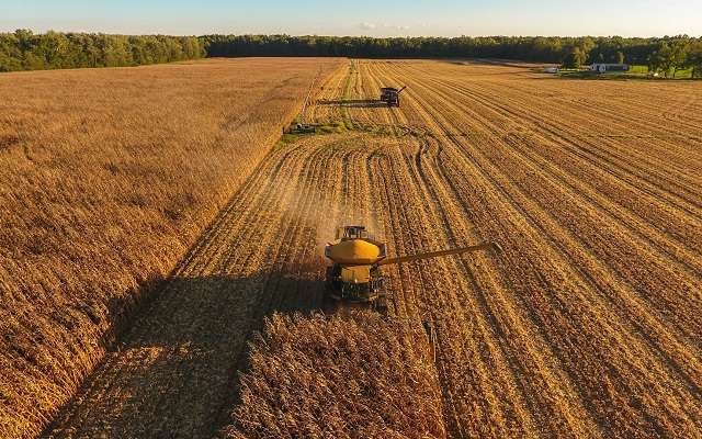 Recuperações judiciais crescem no agronegócio em 2026, aponta levantamento