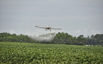 Em nota, setor de fertilizantes alerta sobre crise no agro
