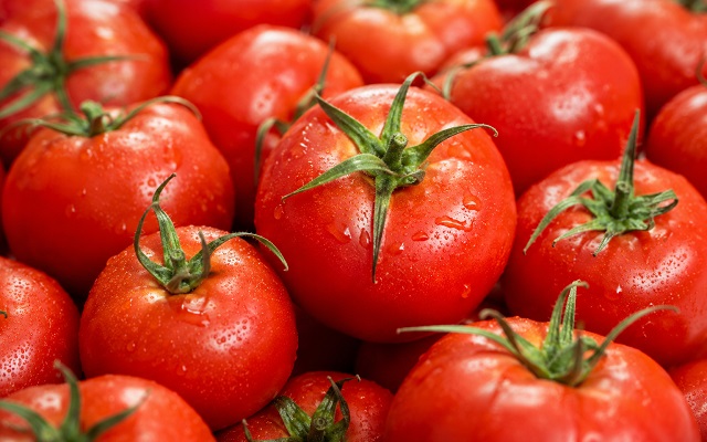 Área de tomate cresce em SP, mas produtividade recua, aponta IEA