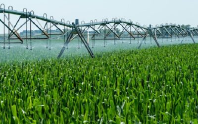 Crédito para irrigação é o maior desde 2005, aponta Abii