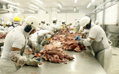 Indonésia libera plantas brasileiras para exportar carne