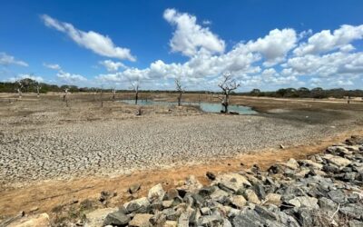 Efeitos do Super El Niño podem elevar a inflação e juros