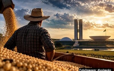 Como está a saúde do Agro?