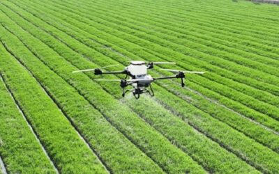 Agricultura brasileira investe em tecnologia para aumentar produção