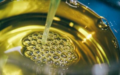 Primeira fábrica de biodiesel de soja no RS receberá R$ 150 mi do BNDES