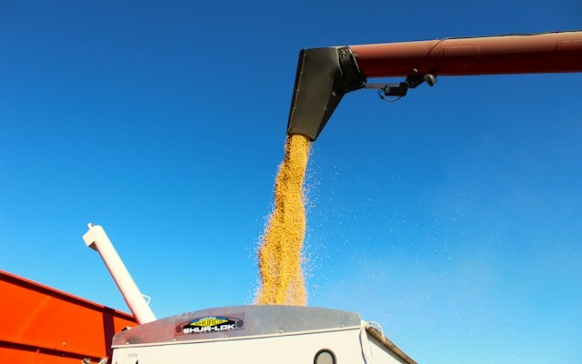 USDA divulga previsão de safra da soja brasileira para 2026/27